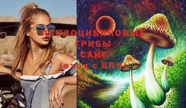 дживик Алзамай