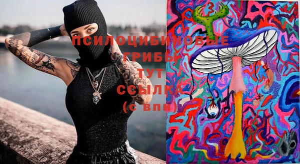стаф Киреевск