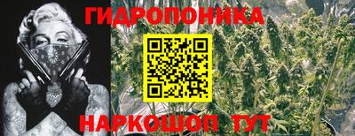 гидропоника Кандалакша