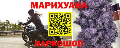 трава Камышлов