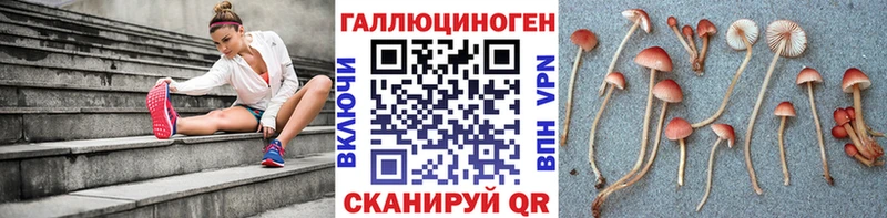 Псилоцибиновые грибы Magic Shrooms  купить наркотик  Кропоткин 