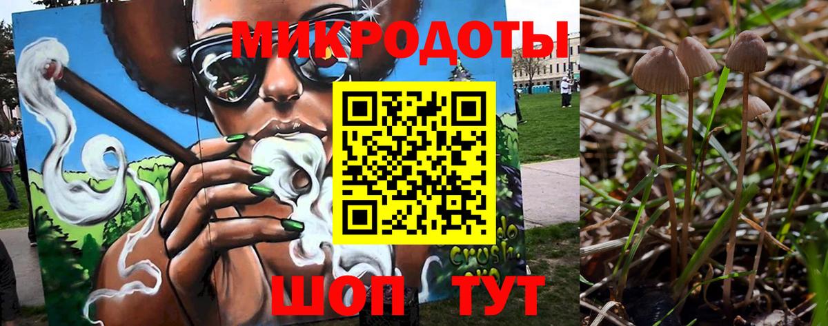 Псилоцибиновые грибы Psilocybine cubensis Кропоткин